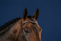 Dy'on Silver Clincher V - Shaped Browband Hunter Frontriemen - Maddelin Equestrian Dy on