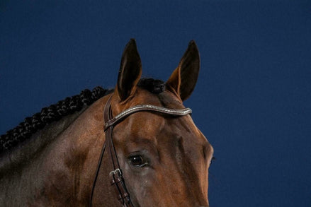 Dy'on Silver Clincher V - Shaped Browband Hunter Frontriemen - Maddelin Equestrian Dy on