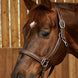 Dy'on Soft Leather Head Collar Working Collection Touwen - Maddelin Equestrian Dy on