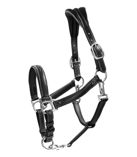 Dy'on Soft Leather Head Collar Working Collection Touwen - Maddelin Equestrian Dy on