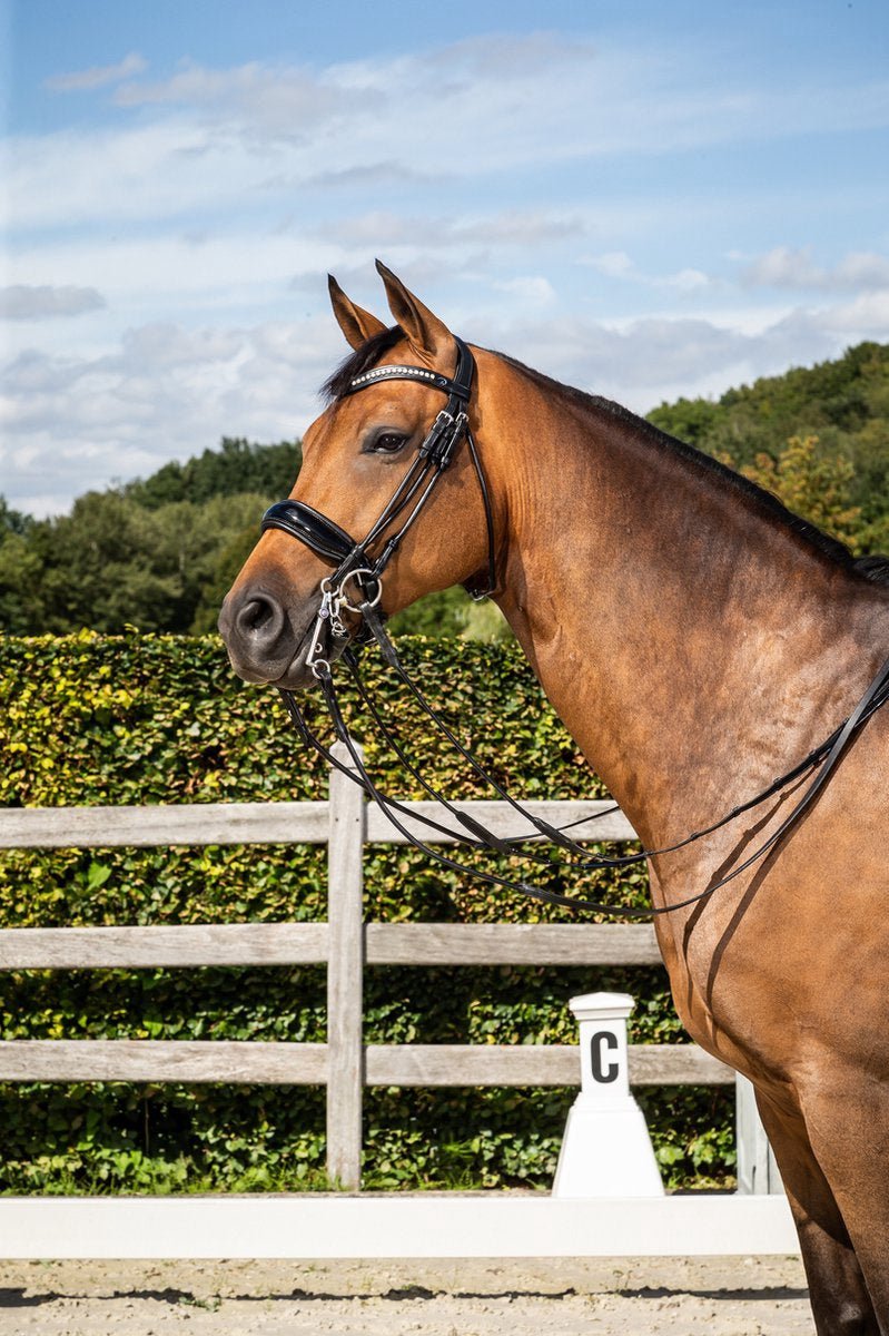 Dy'on Stang en Trens Hoofdstel Brede Lak Neusriem Stang & Trens - Maddelin Equestrian Dy on