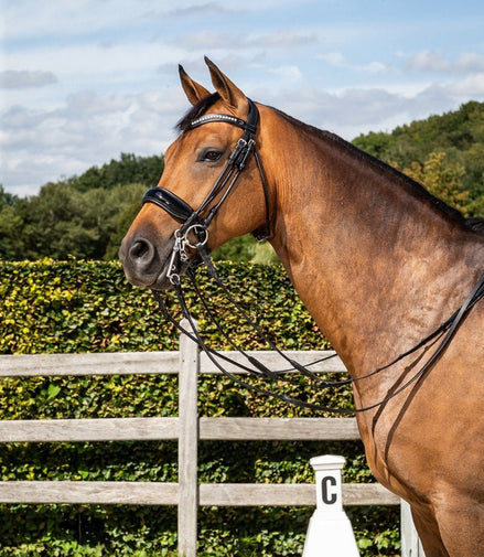Dy'on Stang en Trens Hoofdstel Brede Lak Neusriem Stang & Trens - Maddelin Equestrian Dy on