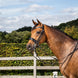 Dy'on Stang & Trens hoofdstel met brede matte Crank neusriem Stang & Trens - Maddelin Equestrian Dy on