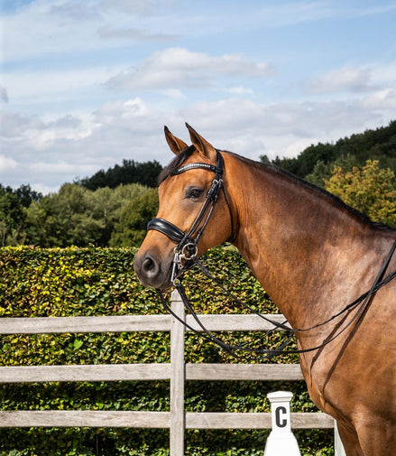 Dy'on Stang & Trens hoofdstel met brede matte Crank neusriem Stang & Trens - Maddelin Equestrian Dy on