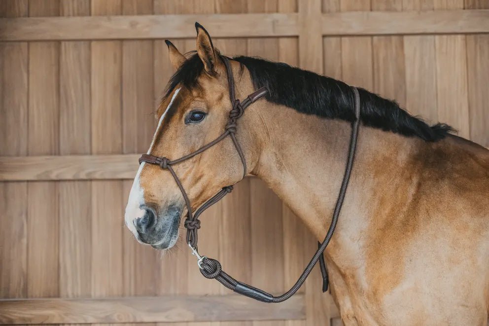 Dy'on Training Halster Controle halster - Maddelin Equestrian Dy on