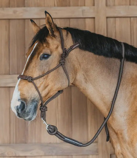 Dy'on Training Halster Controle halster - Maddelin Equestrian Dy on