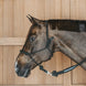 Dy'on Training Halster Controle halster - Maddelin Equestrian Dy on