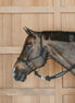Dy'on Training Halster Controle halster - Maddelin Equestrian Dy on