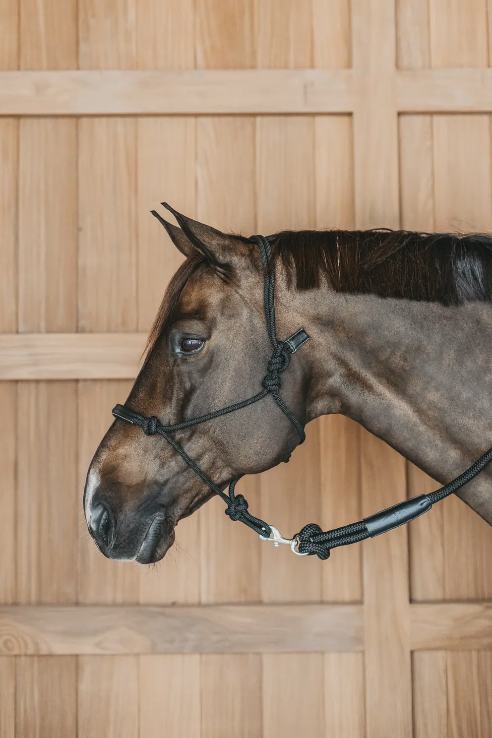 Dy'on Training Halster Controle halster - Maddelin Equestrian Dy on