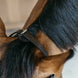 Dy'on Training Hoofdstel Full Working Collection Trenshoofdstellen - Maddelin Equestrian Dy on