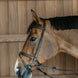 Dy'on Training Hoofdstel Full Working Collection Trenshoofdstellen - Maddelin Equestrian Dy on