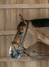 Dy'on Training Hoofdstel Full Working Collection Trenshoofdstellen - Maddelin Equestrian Dy on