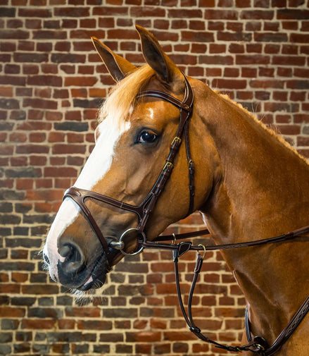 Dy'on X - Fit Hoofdstel D - Collection Trenshoofdstellen - Maddelin Equestrian Dy on