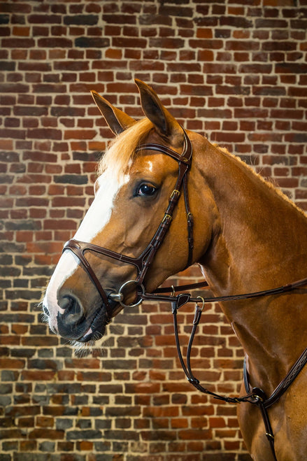 Dy'on X - Fit Hoofdstel D - Collection Trenshoofdstellen - Maddelin Equestrian Dy on