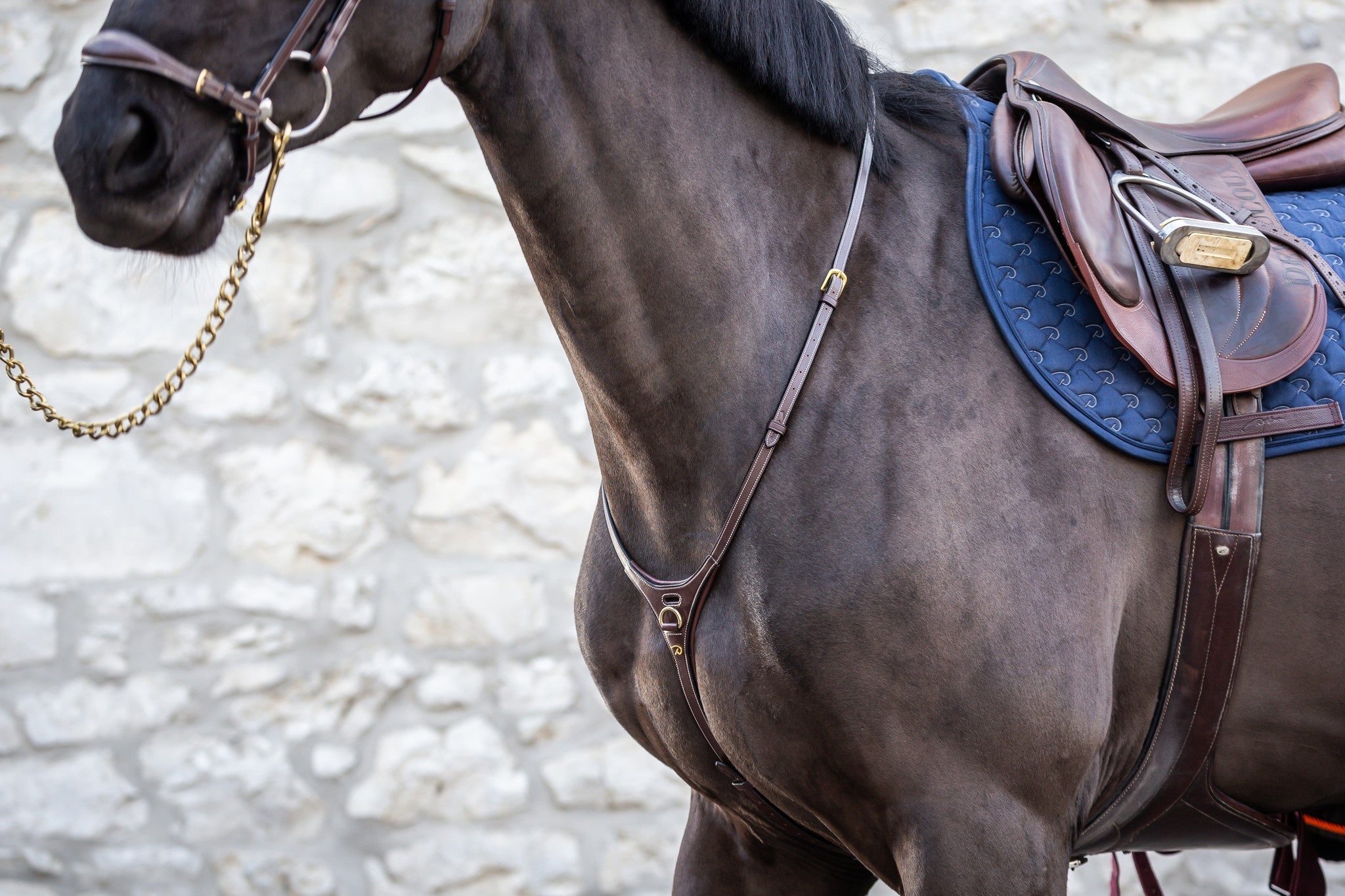 Dy'on Yoke D - Collection Borstriemen en martingalen - Maddelin Equestrian Dy on