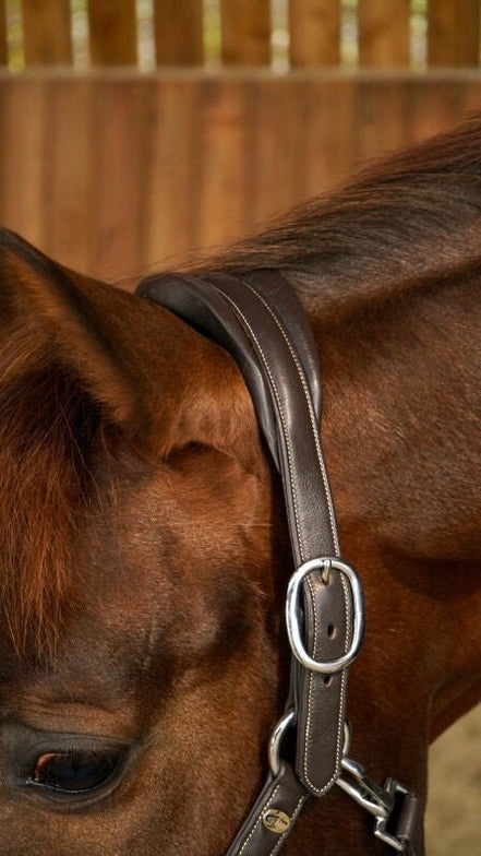Dy'on Zacht Lederen Halster Lederen - Maddelin Equestrian Dy on