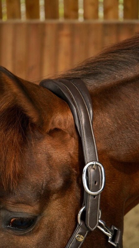 Dy'on Zacht Lederen Halster Lederen - Maddelin Equestrian Dy on