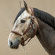 Dy'on Zacht Lederen Halster Lederen - Maddelin Equestrian Dy on