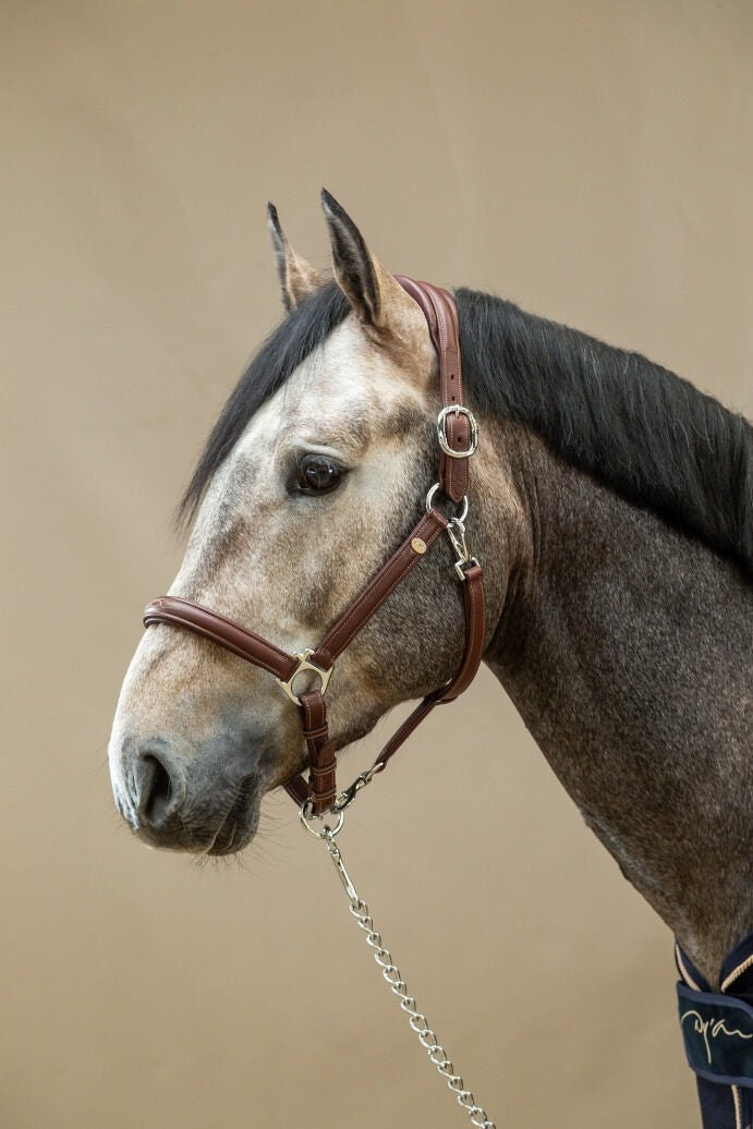 Dy'on Zacht Lederen Halster Lederen - Maddelin Equestrian Dy on