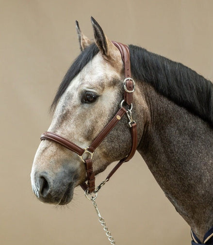Dy'on Zacht Lederen Halster Lederen - Maddelin Equestrian Dy on