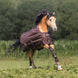 Bucas Irish Turnout Espresso op een paard in de wei