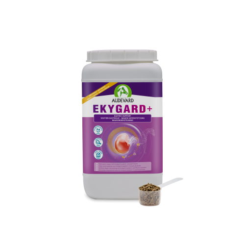 Audevard Ekygard + 2.4kg