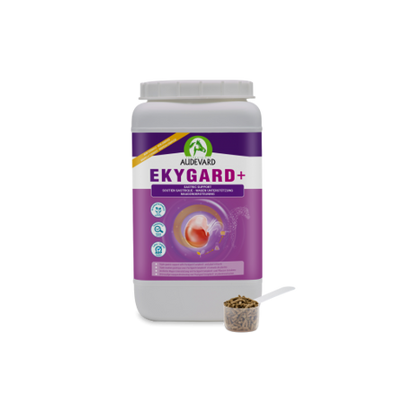 Audevard Ekygard + 2.4kg