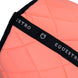 Equesto Black Line Edition Zadeldek Zadeldoeken - Maddelin Equestrian Equestro