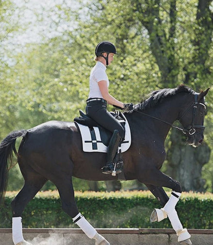 Equestrian Stockholm Zadeldek No Boundaries White Zadeldoeken - Maddelin Equestrian Equestrian Stockholm