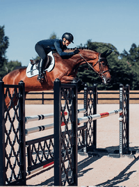 Equestrian Stockholm Zadeldek No Boundaries White Zadeldoeken - Maddelin Equestrian Equestrian Stockholm