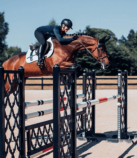 Equestrian Stockholm Zadeldek No Boundaries White Zadeldoeken - Maddelin Equestrian Equestrian Stockholm