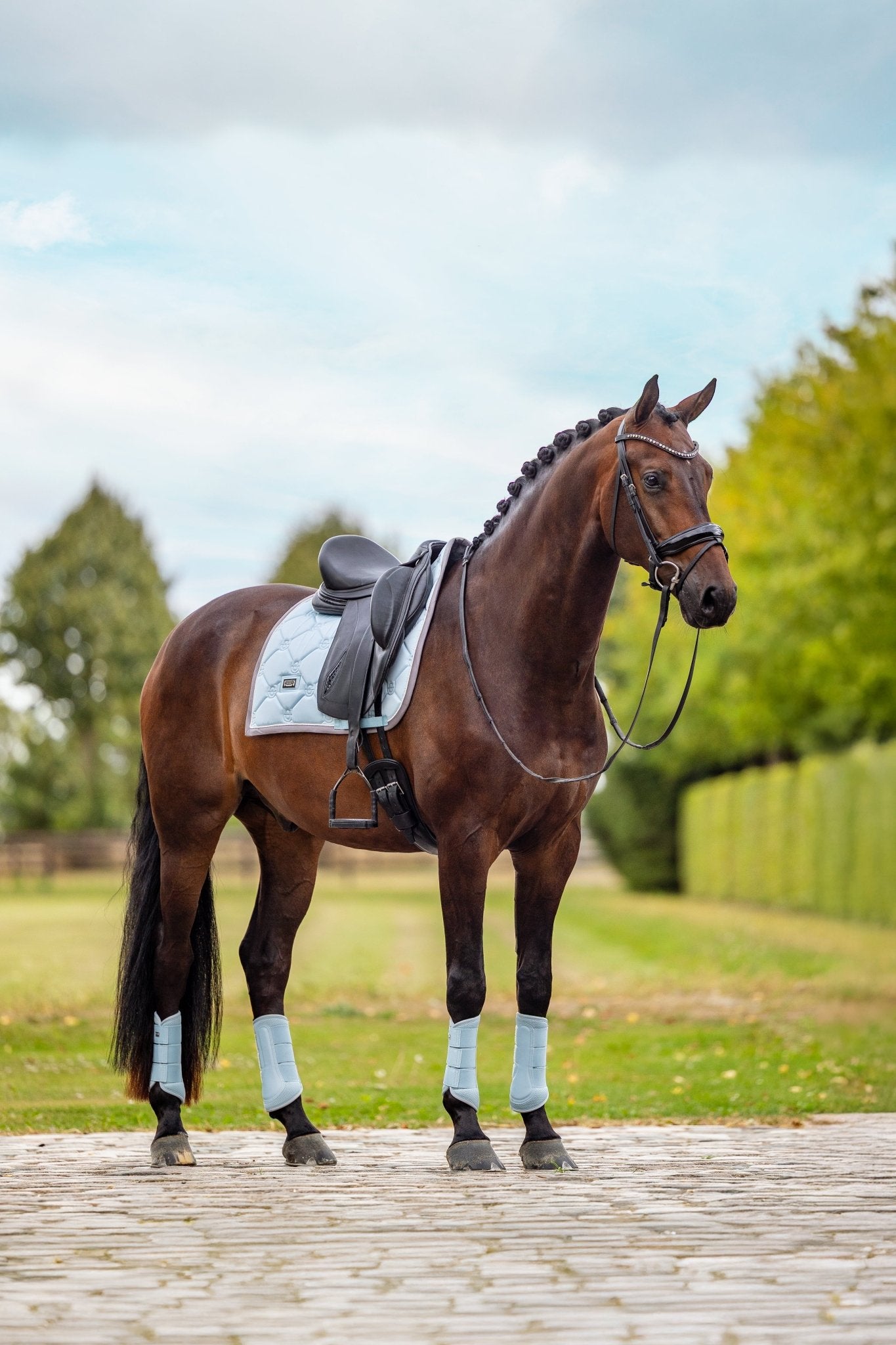 Equestrian Stockholm Zadeldoek Ice Blue Zadeldoeken - Maddelin Equestrian Equestrian Stockholm