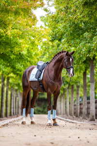 Equestrian Stockholm Zadeldoek Ice Blue Pearls Zadeldoeken - Maddelin Equestrian Equestrian Stockholm