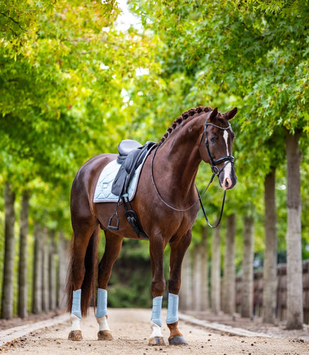Equestrian Stockholm Zadeldoek Ice Blue Pearls Zadeldoeken - Maddelin Equestrian Equestrian Stockholm