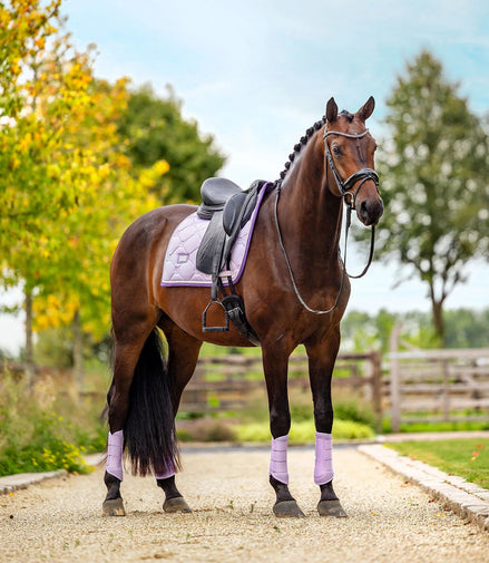 Equestrian Stockholm Zadeldoek Lavender Pearl Zadeldoeken - Maddelin Equestrian Equestrian Stockholm