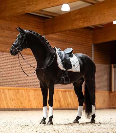 Equestrian Stockholm Zadeldoek Modern White Sand Zadeldoeken - Maddelin Equestrian Equestrian Stockholm