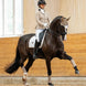 Equestrian Stockholm Zadeldoek Modern White Sand Zadeldoeken - Maddelin Equestrian Equestrian Stockholm