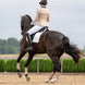 Equestrian Stockholm Zadeldoek Modern White Sand Zadeldoeken - Maddelin Equestrian Equestrian Stockholm