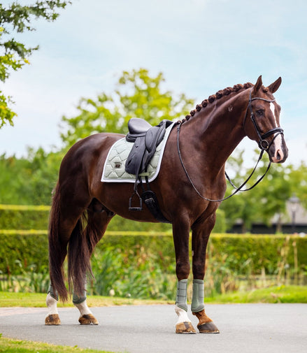 Equestrian Stockholm Zadeldoek Pistachio White Zadeldoeken - Maddelin Equestrian Equestrian Stockholm