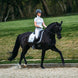 Equestrian Stockholm Zadeldoek Silver White Perfection Zadeldoeken - Maddelin Equestrian Equestrian Stockholm