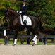 Equestrian Stockholm Zadeldoek Silver White Perfection Zadeldoeken - Maddelin Equestrian Equestrian Stockholm