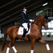 Equestrian Stockholm Zadeldoek White Perfection Zadeldoeken - Maddelin Equestrian Equestrian Stockholm