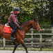 Equestro Onion Zadeldek Zadeldoeken - Maddelin Equestrian Equestro