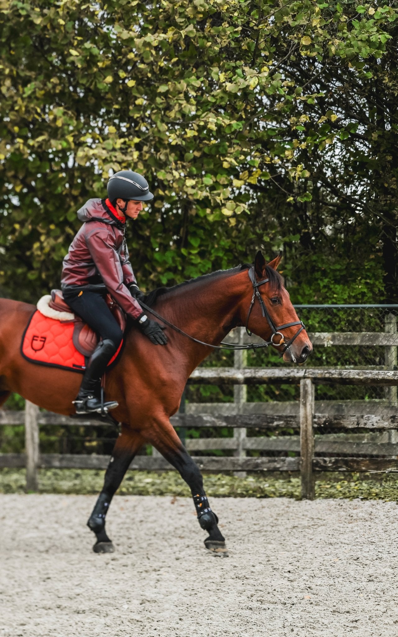 Equestro Onion Zadeldek Zadeldoeken - Maddelin Equestrian Equestro