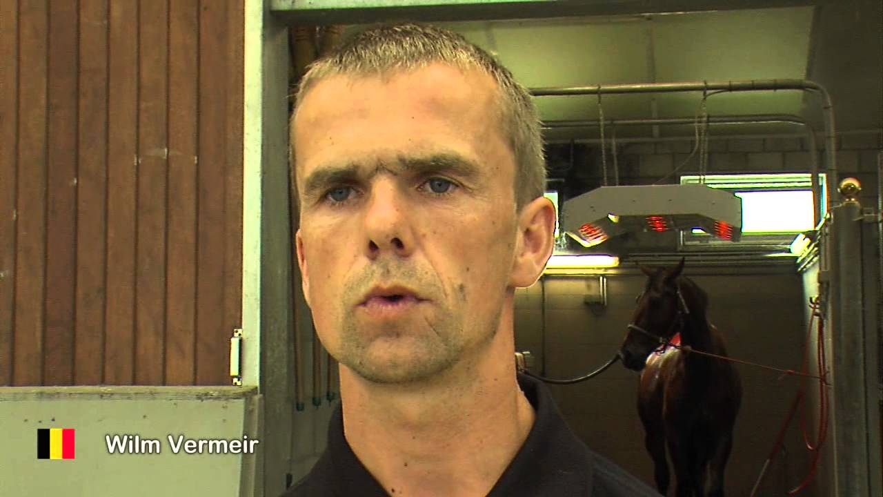 Equi Smart Control Hulpteugels - Maddelin Equestrian Equi Smart Control