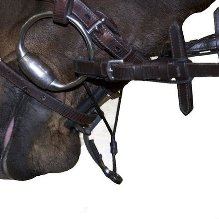 Equi Smart Control Hulpteugels - Maddelin Equestrian Equi Smart Control