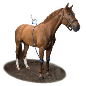 Equine Legcooler Stalbenodigdheden - Maddelin Equestrian Equine Legcooler