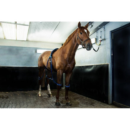 Equine Legcooler Plus Uitbreidingsset Stalbenodigdheden - Maddelin Equestrian Equine Legcooler