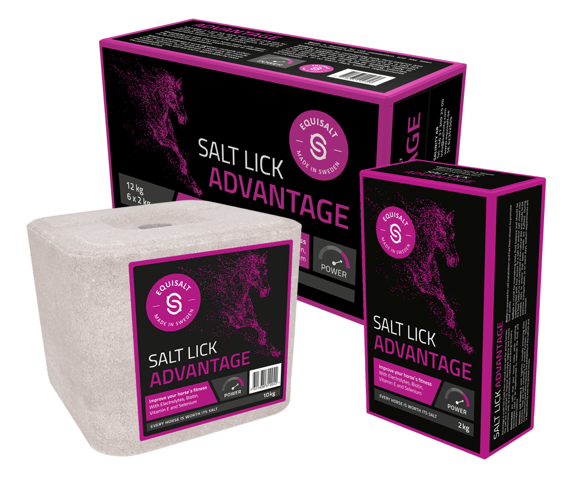 Equisalt Liksteen zout Advantage Snoepjes en likstenen - Maddelin Equestrian Equisalt