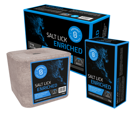 Equisalt Salt Lick Enriched 2kg Snoepjes en likstenen - Maddelin Equestrian Equisalt